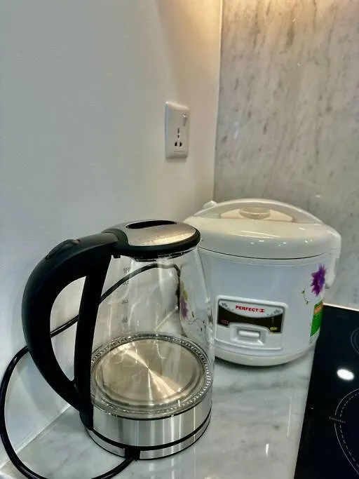 Apartment 2 Bedroom Luxury Condo In City Central Ho Chi Minh City